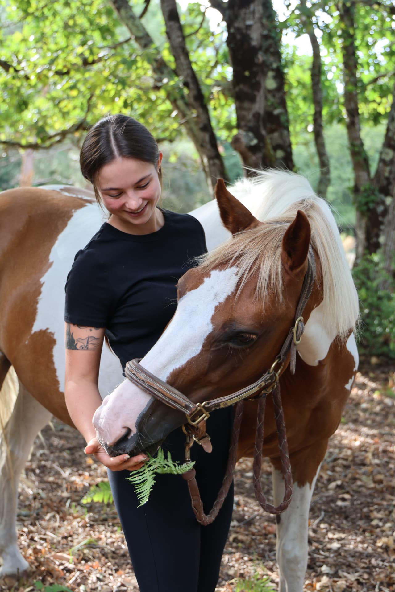 Cavalière caressant l'encolure de son cheval pie avec tendresse