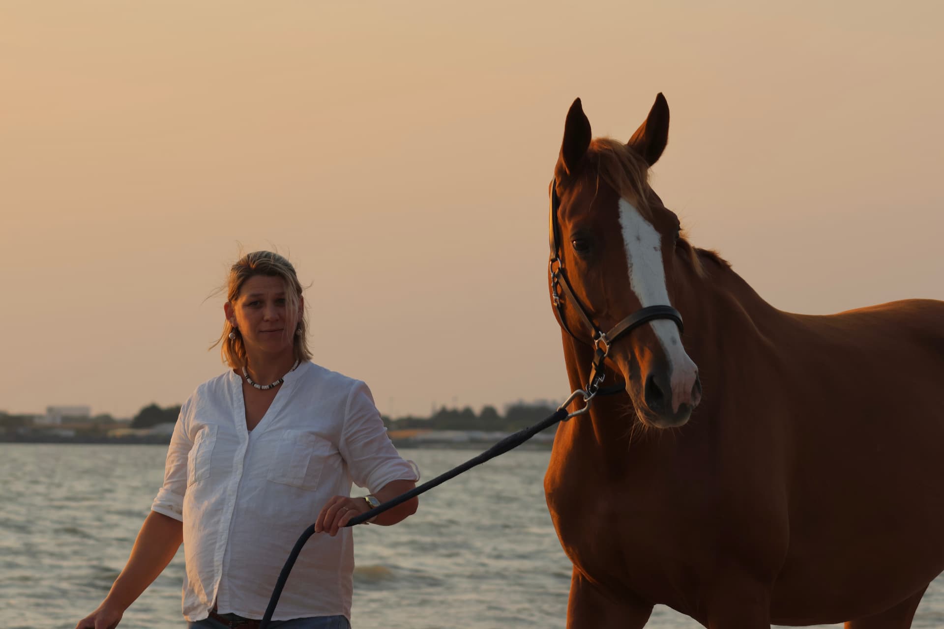 Femme et cheval sur la plage au coucher du soleil, regard vers l'objectif